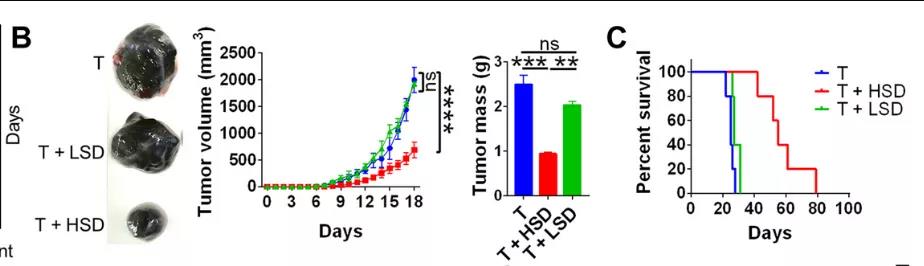 鹽要漲價了！Science子刊揭示：高鹽飲食或可誘導(dǎo)有效的腫瘤免疫！