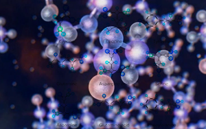 【試劑】多肽和氨基酸系列