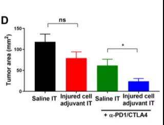 Science子刊：為免疫系統(tǒng)提供“叫醒服務(wù)”或可有效清除體內(nèi)腫瘤！