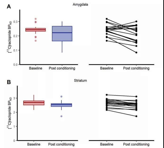 一朝被蛇咬，十年怕井繩，找到了科學(xué)依據(jù)！最新研究揭示“恐怖分子”多巴胺如何參與人類恐懼記憶形成