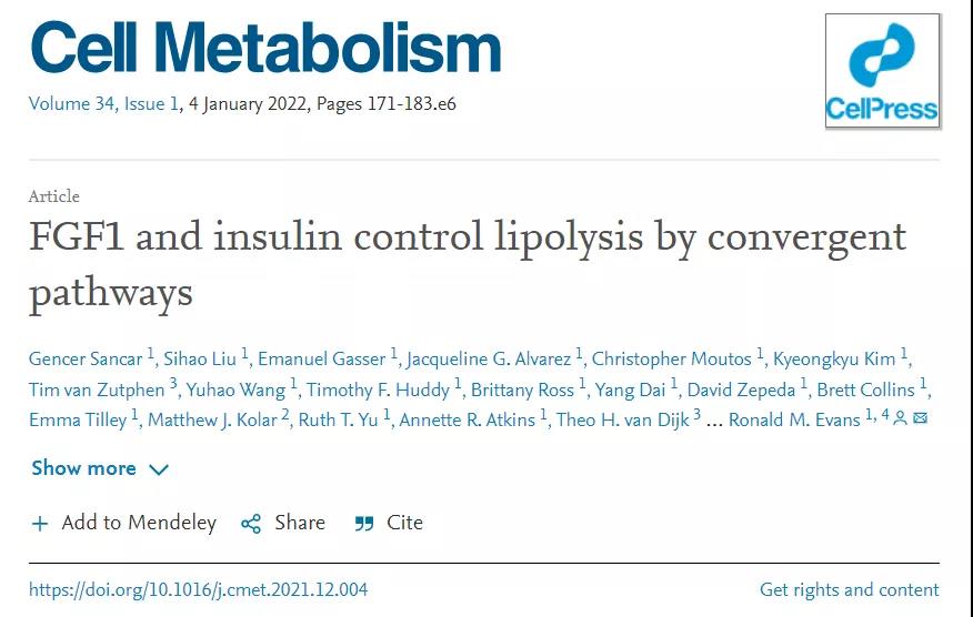 Cell子刊：糖尿病治療新突破！科學(xué)家發(fā)現(xiàn)了獨(dú)立于胰島素之外的新降糖途徑