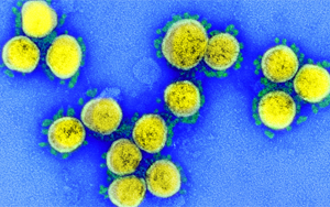 漏檢風(fēng)險(xiǎn)將增加！奧密克戎新分支更隱匿