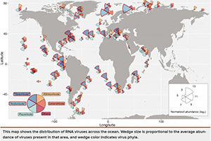 新冠病毒或只是“冰山一角”,科學家新發(fā)現(xiàn)5500種RNA病毒