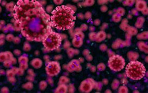 冠狀病毒如何利用宿主的抗病毒防御機制進行有效復制