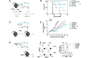 PNAS驚人大發(fā)現(xiàn)！發(fā)燒竟能抗癌，“小病不斷，大病不犯”或許不是謠傳