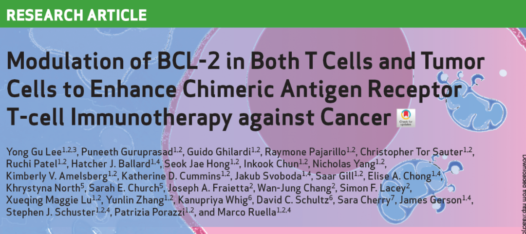 探索CAR-T療法抗腫瘤效果的提升途徑 探索CAR-T療法抗腫瘤效果的提升途徑
