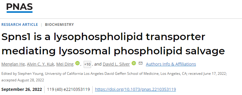 科學家發(fā)現(xiàn)溶酶體中的蛋白質(zhì)參與循環(huán)細胞膜中重要的脂質(zhì)成分以保持細胞健康