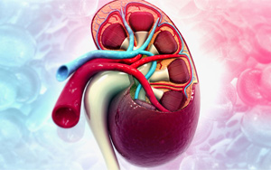 新冠將導(dǎo)致未來(lái)出現(xiàn)毀滅性的全民腎衰竭？真相究竟如何