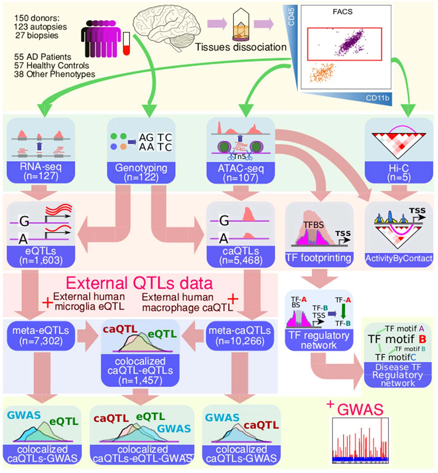 數(shù)據(jù)生成和綜合分析示意圖 數(shù)據(jù)生成和綜合分析示意圖