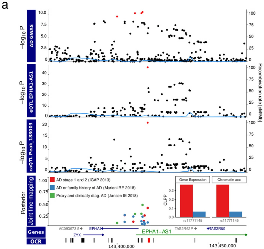 EPHA1-AS1基因調(diào)控小膠質(zhì)細(xì)胞的轉(zhuǎn)錄和染色質(zhì)可接觸性的AD病原學(xué)積分圖 EPHA1-AS1基因調(diào)控小膠質(zhì)細(xì)胞的轉(zhuǎn)錄和染色質(zhì)可接觸性的AD病原學(xué)積分圖
