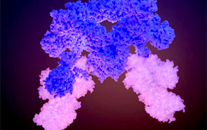 Nature破譯細(xì)胞生長(zhǎng)的關(guān)鍵調(diào)控因子