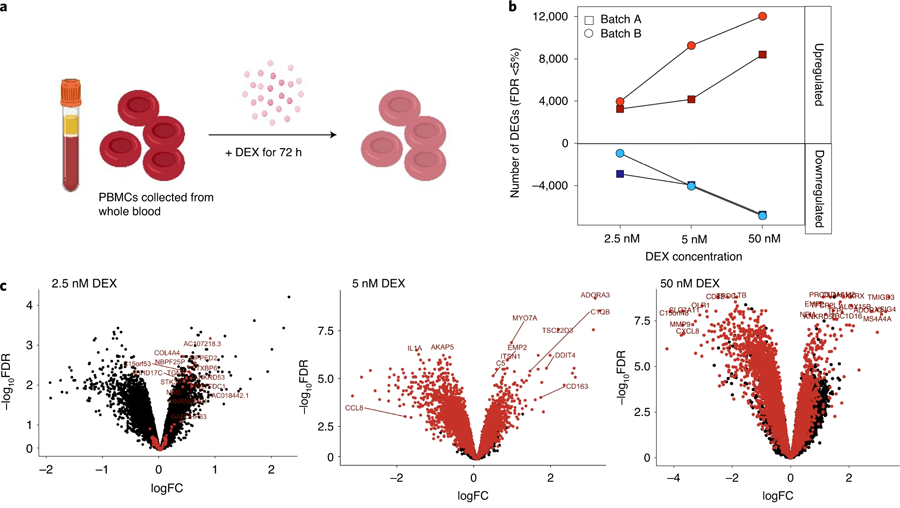周邊血液單核細胞對地塞米松的轉錄相應 周邊血液單核細胞對地塞米松的轉錄相應