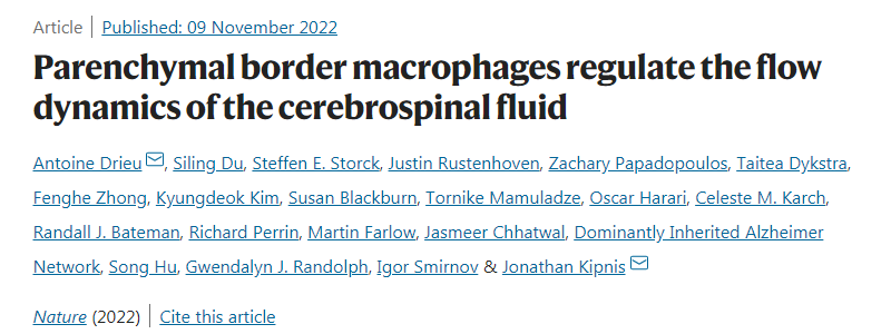 研究人員發(fā)現(xiàn)大腦周圍的免疫細胞會影響廢物從大腦中清除的效率 研究人員發(fā)現(xiàn)大腦周圍的免疫細胞會影響廢物從大腦中清除的效率