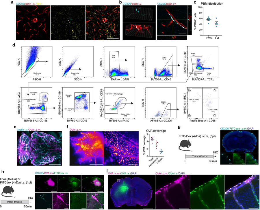 PBMs不同于小膠質(zhì)細胞和CSF和ISF樣本 PBMs不同于小膠質(zhì)細胞和CSF和ISF樣本