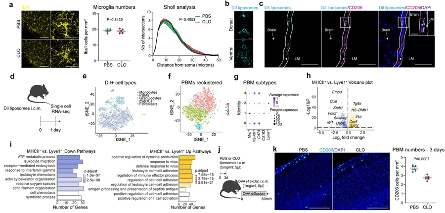 PBM消耗的后果 PBM消耗的后果