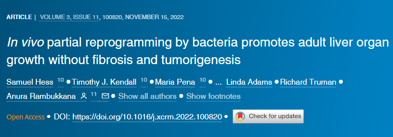 一種可能進化為幫助對抗感染的免疫反應(yīng)似乎是驅(qū)使人類免疫缺陷病毒(HIV)進入潛伏狀態(tài)的機制 一種可能進化為幫助對抗感染的免疫反應(yīng)似乎是驅(qū)使人類免疫缺陷病毒(HIV)進入潛伏狀態(tài)的機制