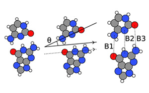 量子生物學家發(fā)現(xiàn)，酶可能是理解DNA突變的關(guān)鍵