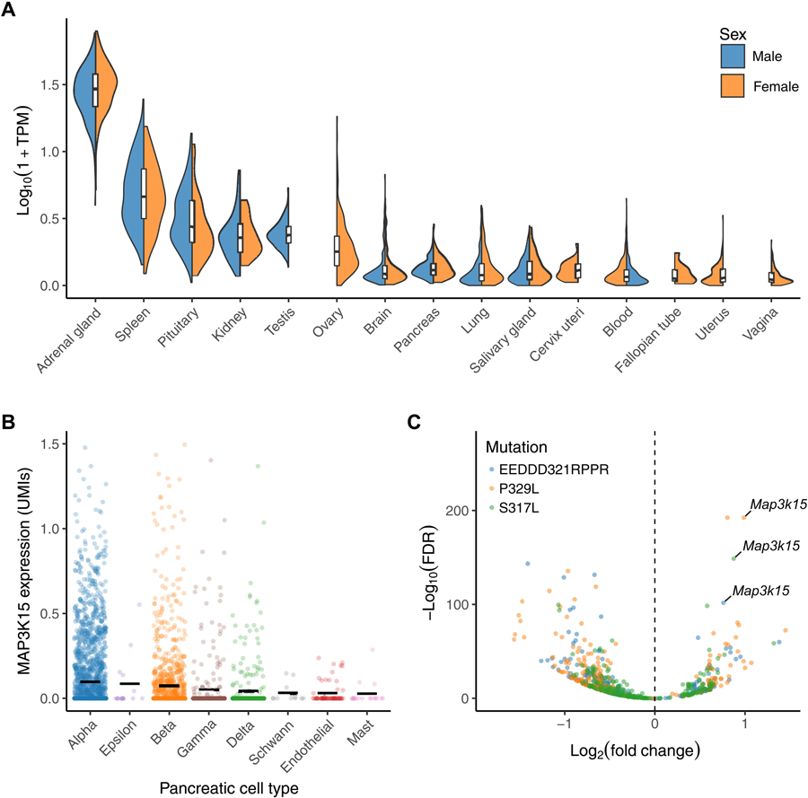 MAP3K15的組織表達(dá)譜 MAP3K15的組織表達(dá)譜