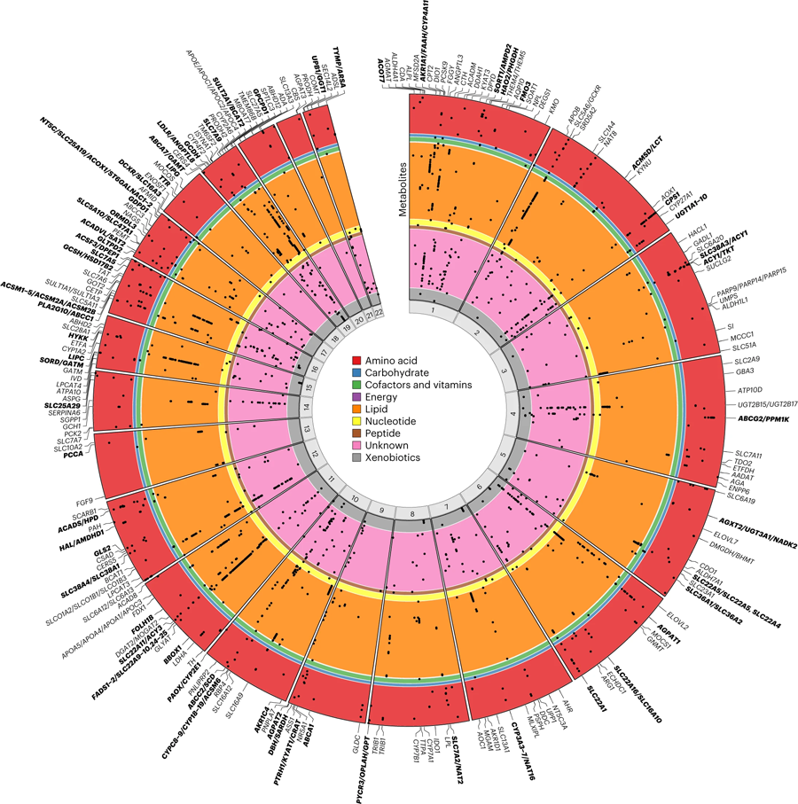 圓形圖演繹了與代謝物的區(qū)域關(guān)聯(lián)的基因組位置 圓形圖演繹了與代謝物的區(qū)域關(guān)聯(lián)的基因組位置