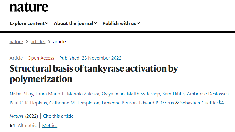 科學家們已經(jīng)揭示了一種涉及廣泛細胞過程的關鍵蛋白質的內部工作原理 科學家們已經(jīng)揭示了一種涉及廣泛細胞過程的關鍵蛋白質的內部工作原理