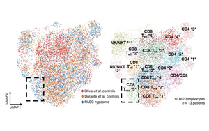 Science子刊最新研究找到了新冠病毒令人失去嗅覺的關(guān)鍵原因