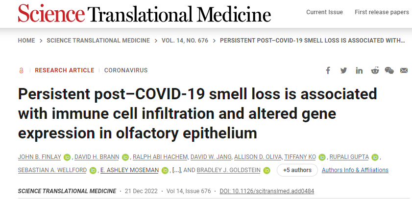 新冠肺炎后無法恢復嗅覺與免疫系統(tǒng)對嗅覺神經(jīng)細胞的持續(xù)攻擊以及這些細胞數(shù)量的相關下降有關 新冠肺炎后無法恢復嗅覺與免疫系統(tǒng)對嗅覺神經(jīng)細胞的持續(xù)攻擊以及這些細胞數(shù)量的相關下降有關