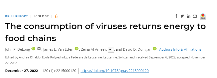 Halteria可以吞食大量與它們共享水生棲息地的傳染性氯病毒 Halteria可以吞食大量與它們共享水生棲息地的傳染性氯病毒