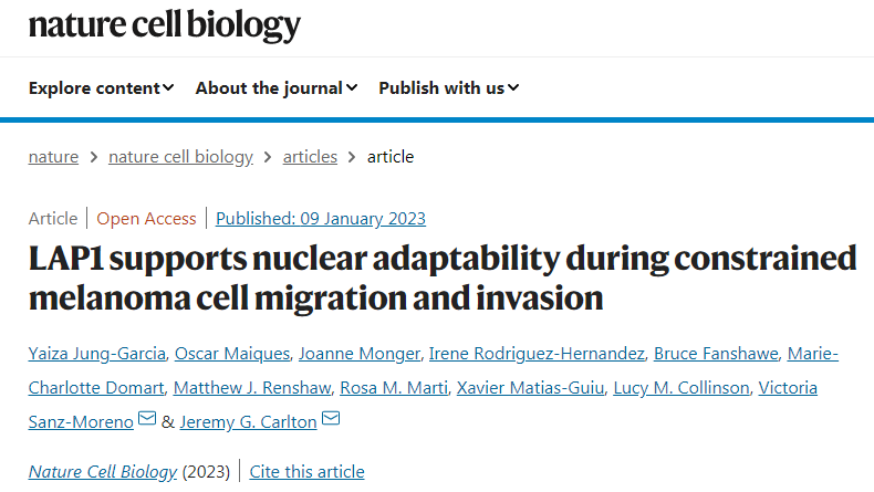 研究發(fā)現(xiàn)LAP1蛋白質(zhì)的升高與黑素瘤患者預(yù)后不良有關(guān)