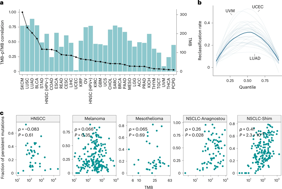 持久性突變含與TMB之間的相關(guān)性評(píng)估