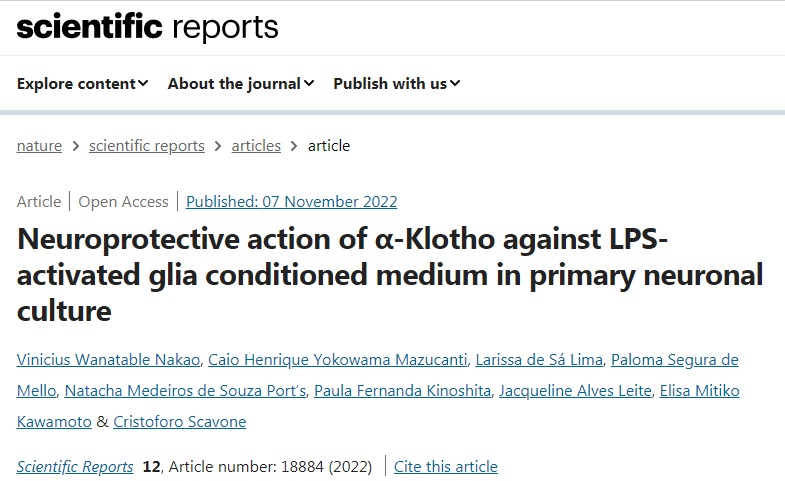 蛋白質klotho保護膠質細胞免受炎癥和死亡的影響 蛋白質klotho保護膠質細胞免受炎癥和死亡的影響
