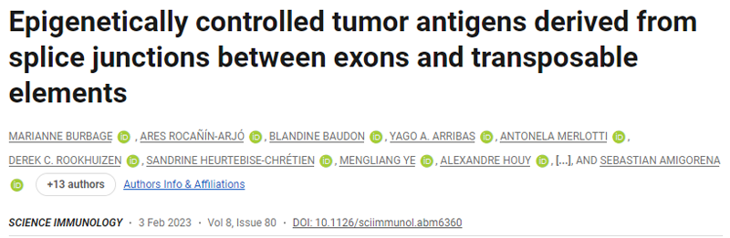 表觀遺傳控制的腫瘤抗原來(lái)源于外顯子和轉(zhuǎn)座元件之間的剪接連接 表觀遺傳控制的腫瘤抗原來(lái)源于外顯子和轉(zhuǎn)座元件之間的剪接連接