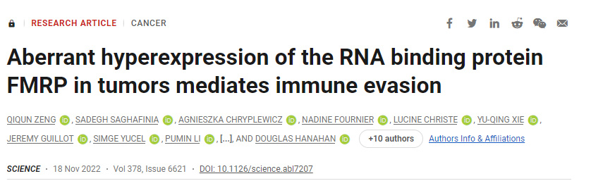 一種蛋白質在幫助腫瘤逃脫免疫損傷方面起著關鍵作用 一種蛋白質在幫助腫瘤逃脫免疫損傷方面起著關鍵作用
