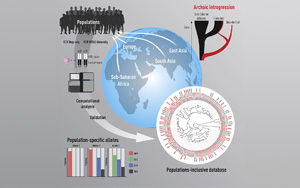 為什么我們對(duì)新冠等疾病的反應(yīng)不同？Immunity發(fā)現(xiàn)人與人之間T細(xì)胞受體基因存在很大差異