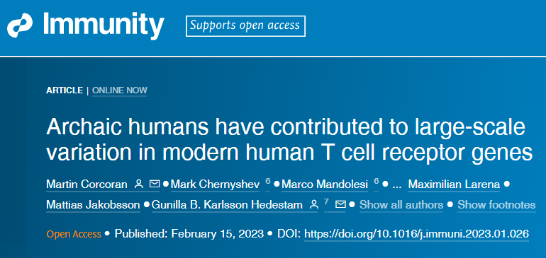 研究人員發(fā)現(xiàn)編碼T細胞受體的基因在人和人群之間存在很大差異 研究人員發(fā)現(xiàn)編碼T細胞受體的基因在人和人群之間存在很大差異