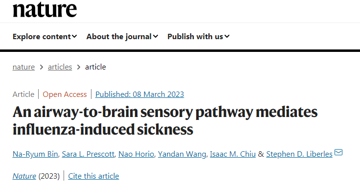 新研究闡明了大腦是如何意識(shí)到體內(nèi)有感染的