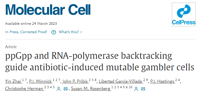 貝勒醫(yī)學院研究人員在分子水平上研究導致抗生素耐藥性的過程