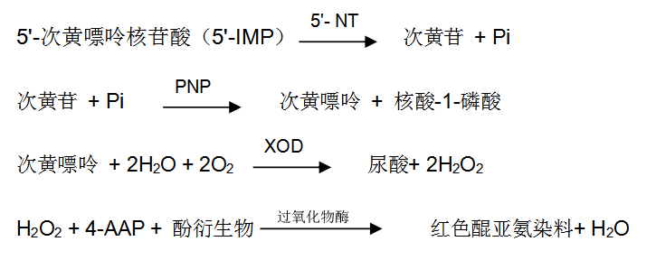 5'-核糖核苷酸磷酸水解酶檢測原理 5'-核糖核苷酸磷酸水解酶檢測原理