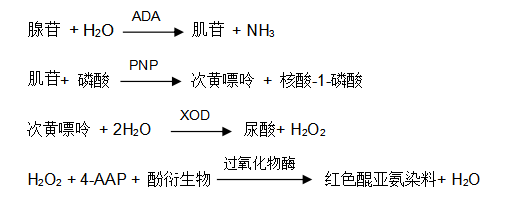 腺苷脫氨酶(ADA)過(guò)氧化物酶法檢測(cè)原理 腺苷脫氨酶(ADA)過(guò)氧化物酶法檢測(cè)原理