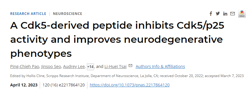 研究發(fā)現(xiàn)通過干擾阿爾茨海默病患者大腦中通常過度活躍的一種酶來逆轉神經退行性變 研究發(fā)現(xiàn)通過干擾阿爾茨海默病患者大腦中通常過度活躍的一種酶來逆轉神經退行性變