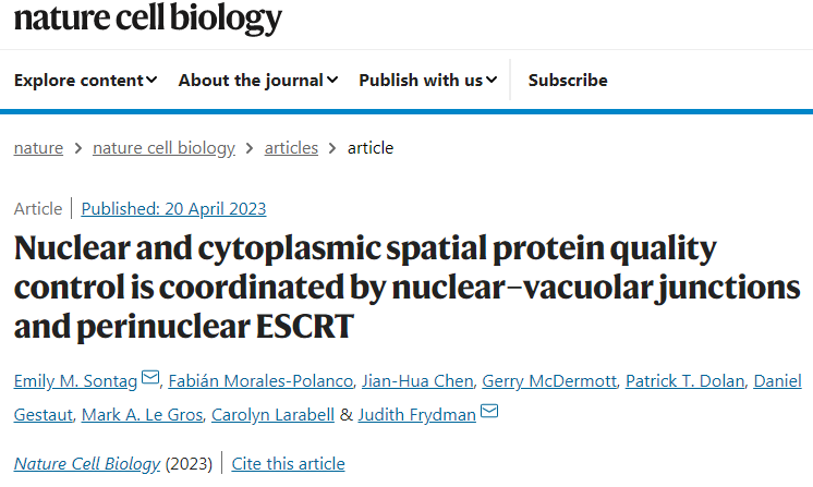 研究人員發(fā)現(xiàn)了一種細胞途徑可以清除細胞核中錯誤折疊的蛋白質