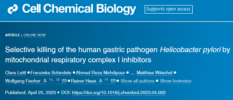 LMU的研究人員發(fā)現(xiàn)了幽門螺桿菌的一個弱點，可以用來開發(fā)新藥