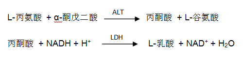 谷丙轉(zhuǎn)氨酶(ALT)檢測(cè)原理 谷丙轉(zhuǎn)氨酶(ALT)檢測(cè)原理