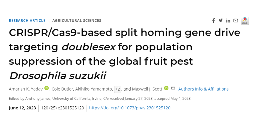 研究人員已經(jīng)開發(fā)出一種基于CRISPR/Cas9的歸巢基因驅(qū)動(dòng)系統(tǒng) 研究人員已經(jīng)開發(fā)出一種基于CRISPR/Cas9的歸巢基因驅(qū)動(dòng)系統(tǒng)