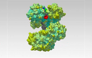 Nature解開一種蛋白質(zhì)，研發(fā)一種新的生物技術(shù)工具
