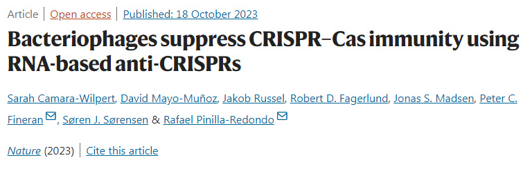 噬菌體使用基于RNA的抗CRISPR抑制CRISPR–Cas免疫 噬菌體使用基于RNA的抗CRISPR抑制CRISPR–Cas免疫