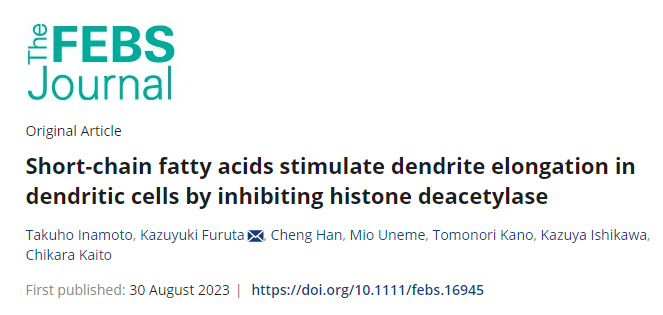 腸道細菌產(chǎn)生的短鏈脂肪酸(SCFAs)負責(zé)啟動樹突細胞向腸腔延伸 腸道細菌產(chǎn)生的短鏈脂肪酸(SCFAs)負責(zé)啟動樹突細胞向腸腔延伸