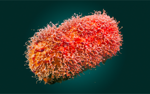 Science新證據(jù)：猴痘病毒由于持續(xù)的人際傳播而不斷進(jìn)化