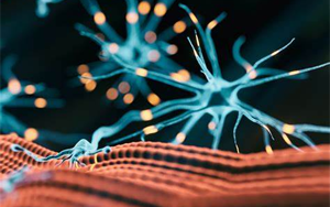 研究發(fā)現(xiàn)，鈣通道阻滯劑是逆轉(zhuǎn)肌強直性營養(yǎng)不良肌肉無力的關(guān)鍵