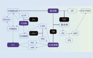 血栓調節(jié)蛋白（TM）-磁微粒化學發(fā)光法（AE/AP）解決方案