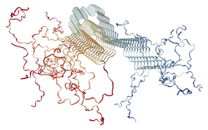 PNAS：一種新的檢測方法有望早期發(fā)現(xiàn)帕金森病